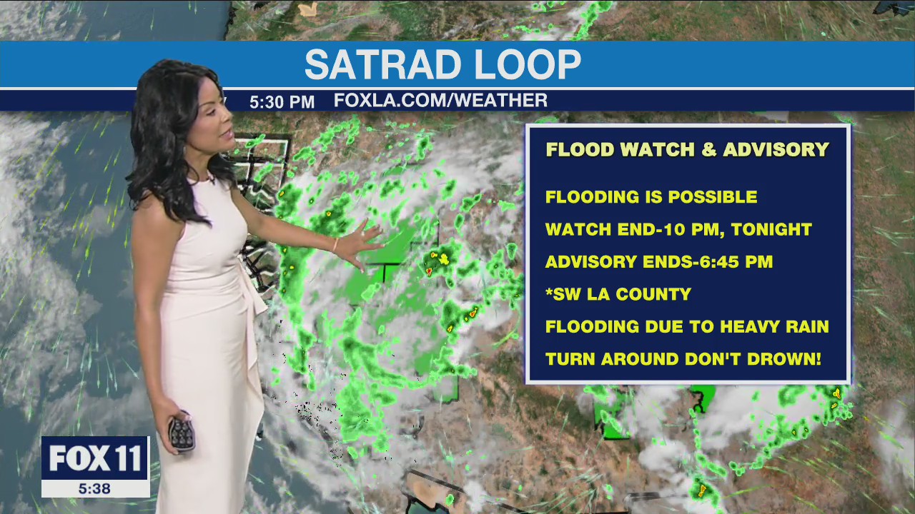 Weather Forecast: Thursday, August 4