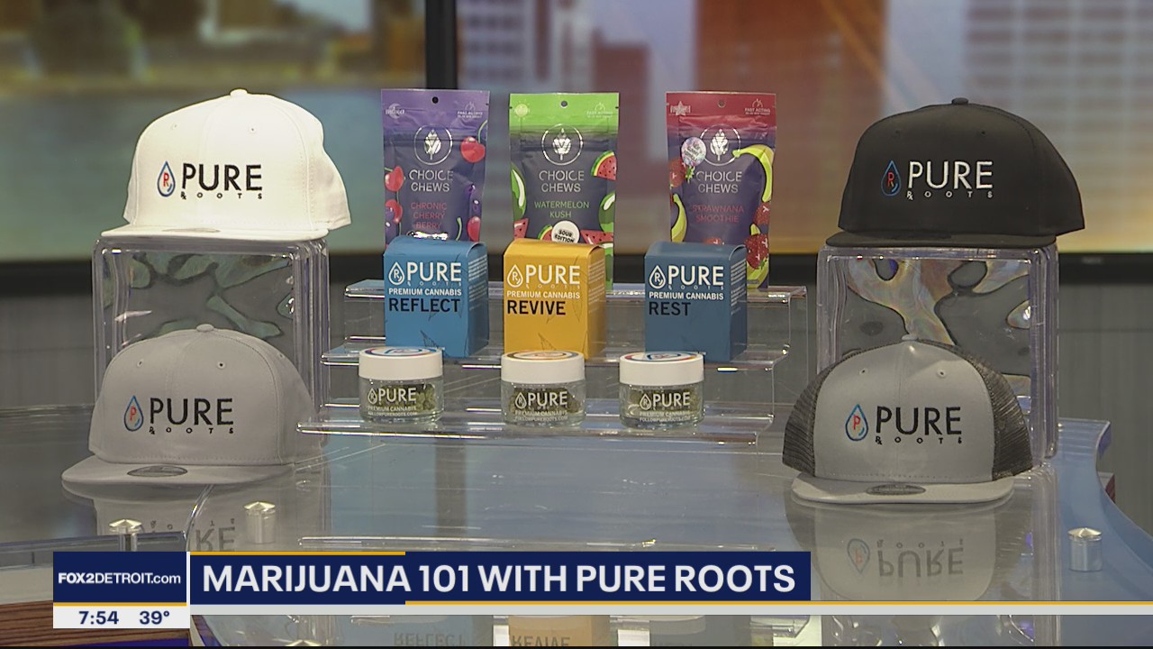 Marijuana 101 with Pure Roots