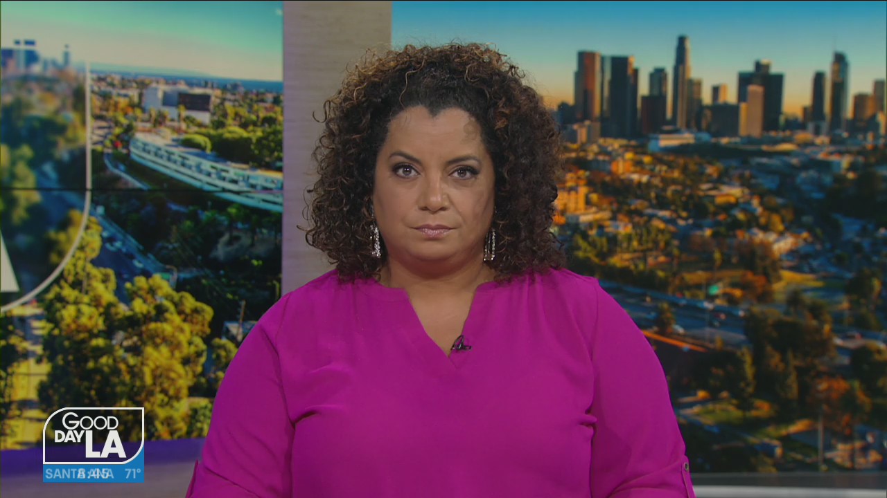 Ric O'Barry's Dolphin Project