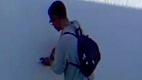 'Homeless vandal' terrorizing Mid-City neighborhood