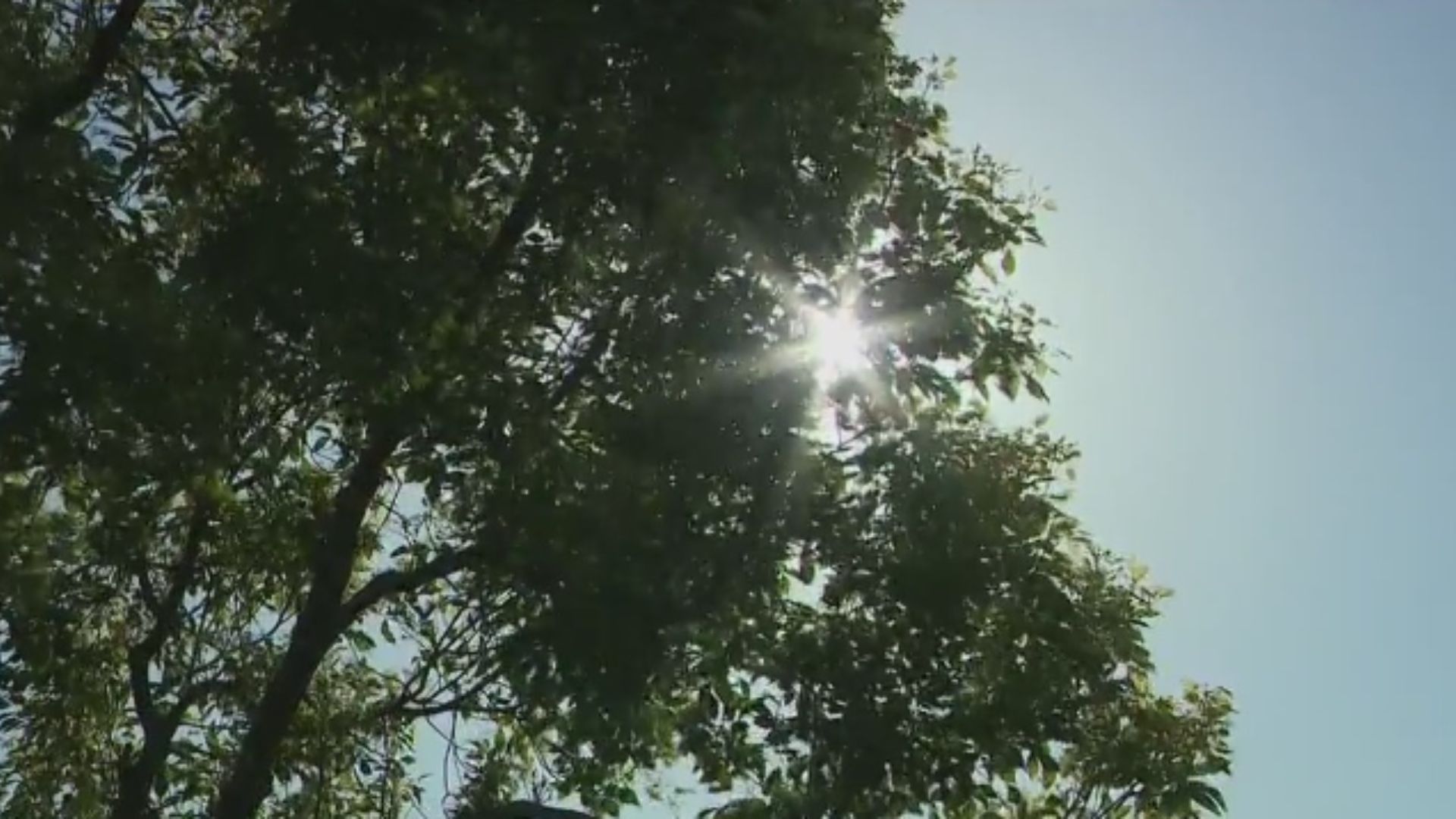 Southern California braces for heat wave that could bring triple-digit temps