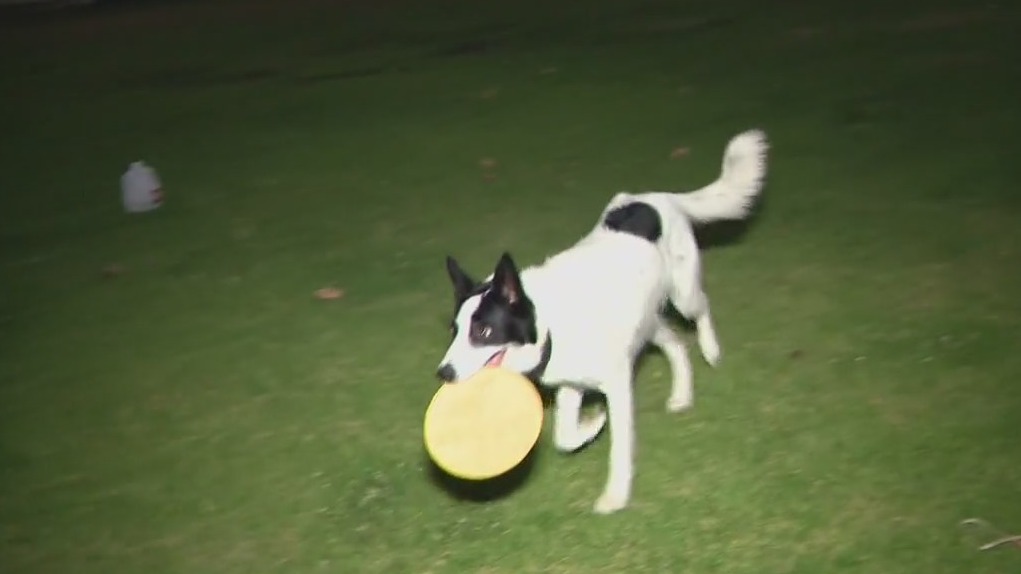 Brutal heat wave prompts Flex Alert extension