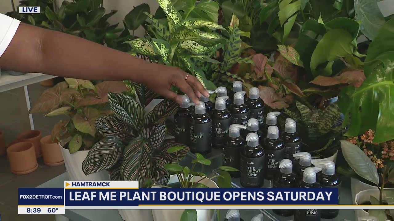 New Plant Boutique Opens in Hamtramck
