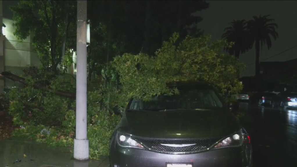 Gusty winds from Tropical Storm Kay causes damage in South LA