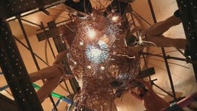 ?Life Cycles? Bamboo exhibit debuts at Japan House in Hollywood