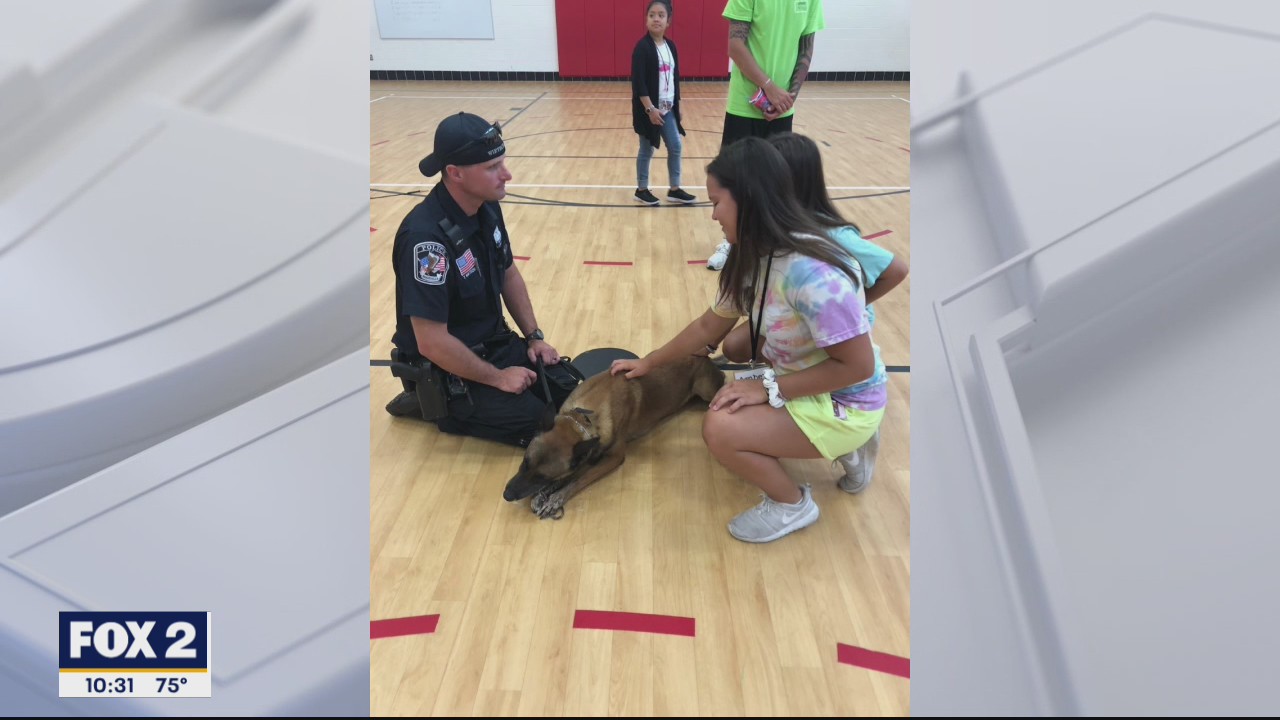 Free Summer Camp for Children Impacted by Addiction