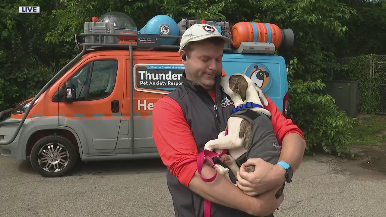 It was a rough week for dogs. The ThunderBus team is here with tips for pet anxiety
