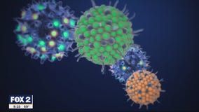 The Doctor Is In: Covid-19 Delta variant