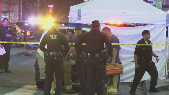 Man, dogs killed after being struck in downtown LA