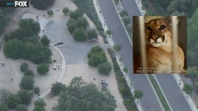 Mountain lion attacks shuts down park