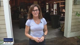 Rain Diverting Bumper