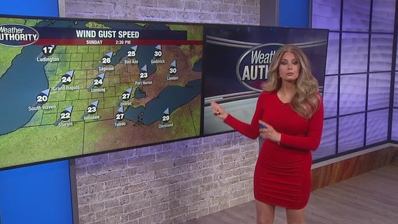 HD Show: 3 cats die in Royal Oak fire, war in Ukraine hits two years