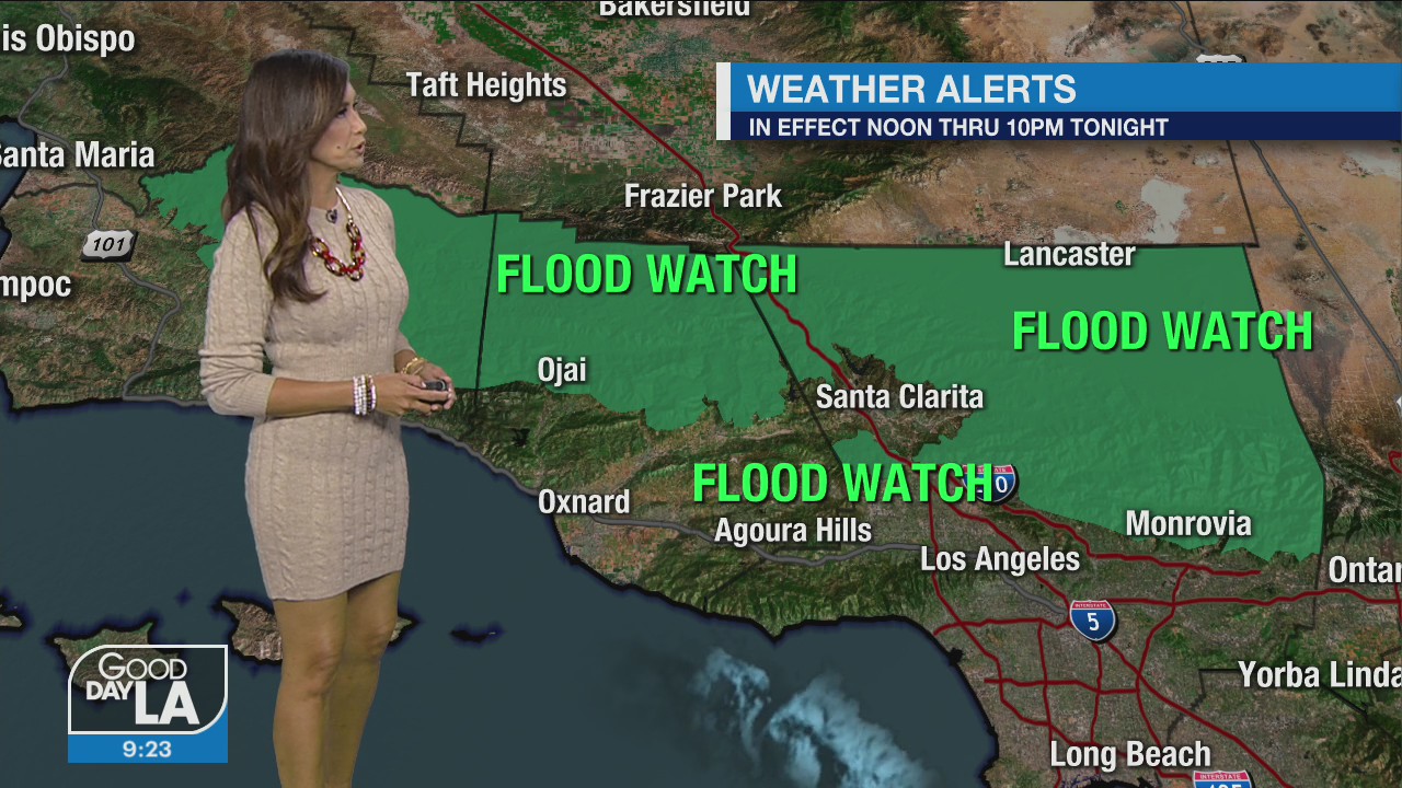 Weather Forecast for Tuesday, Oct. 11