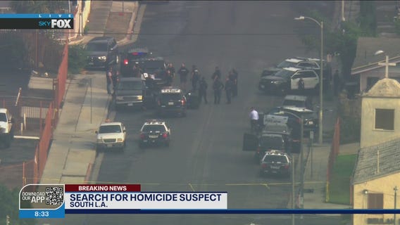 Homicide suspect search underway in Watts