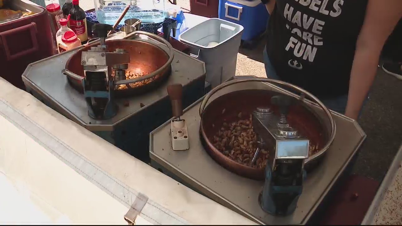 Milford Memories Festival returns this summer