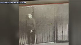 Echo Park sexual assault suspect in custody: LAPD