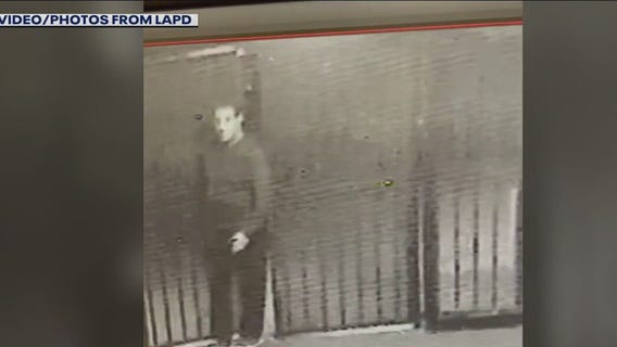 Echo Park sexual assault suspect in custody: LAPD