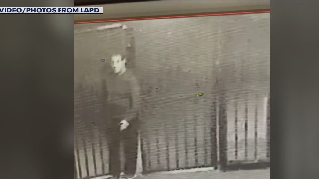 Echo Park sexual assault suspect in custody: LAPD