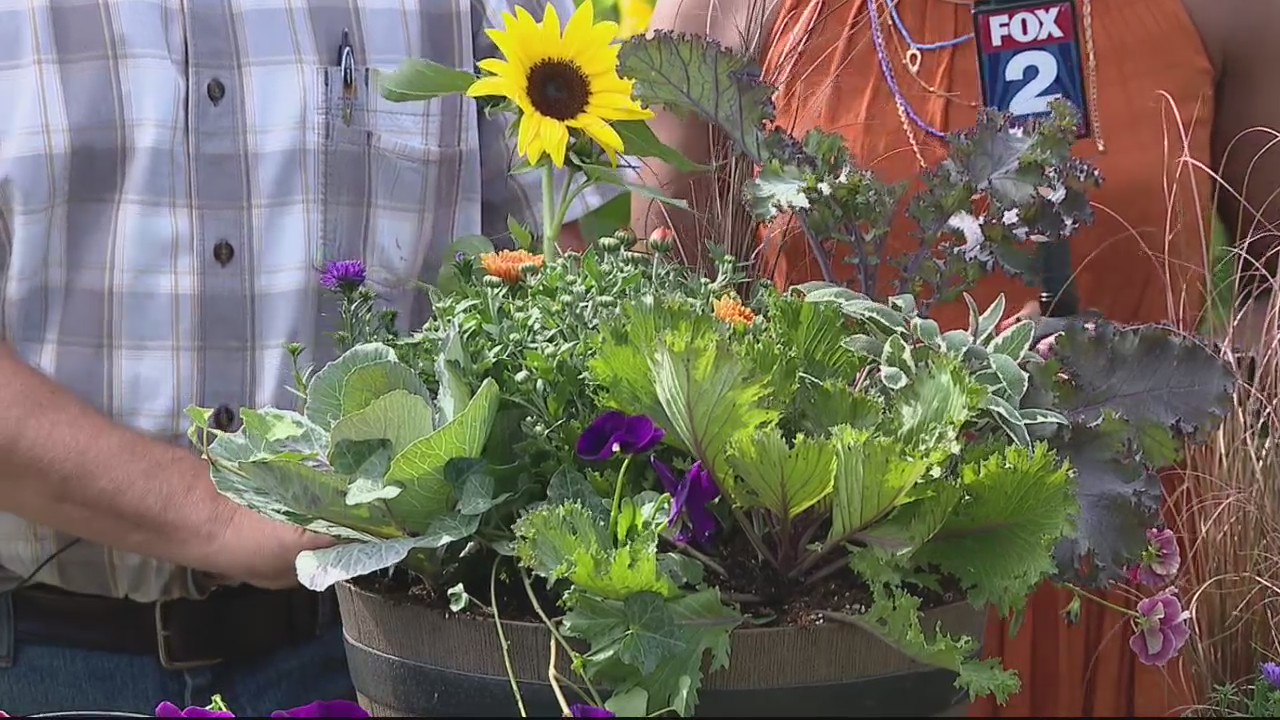 Beautiful Fall planter ideas with Lloyd Michael of Greyston Gardens