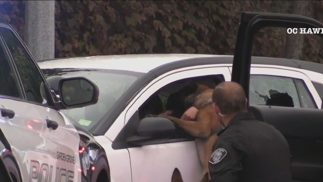 Police use K9 to get pursuit suspect out of car | FOX 11 Los Angeles