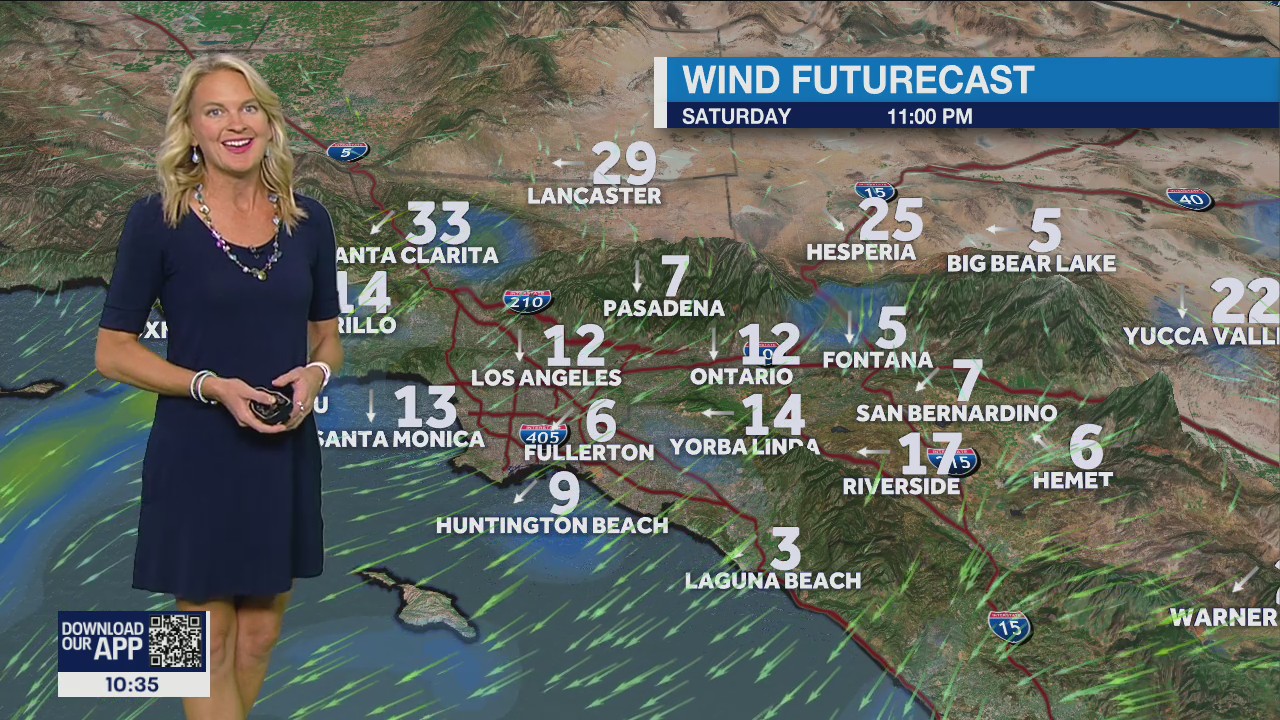 Weather Forecast for Saturday, Nov. 19