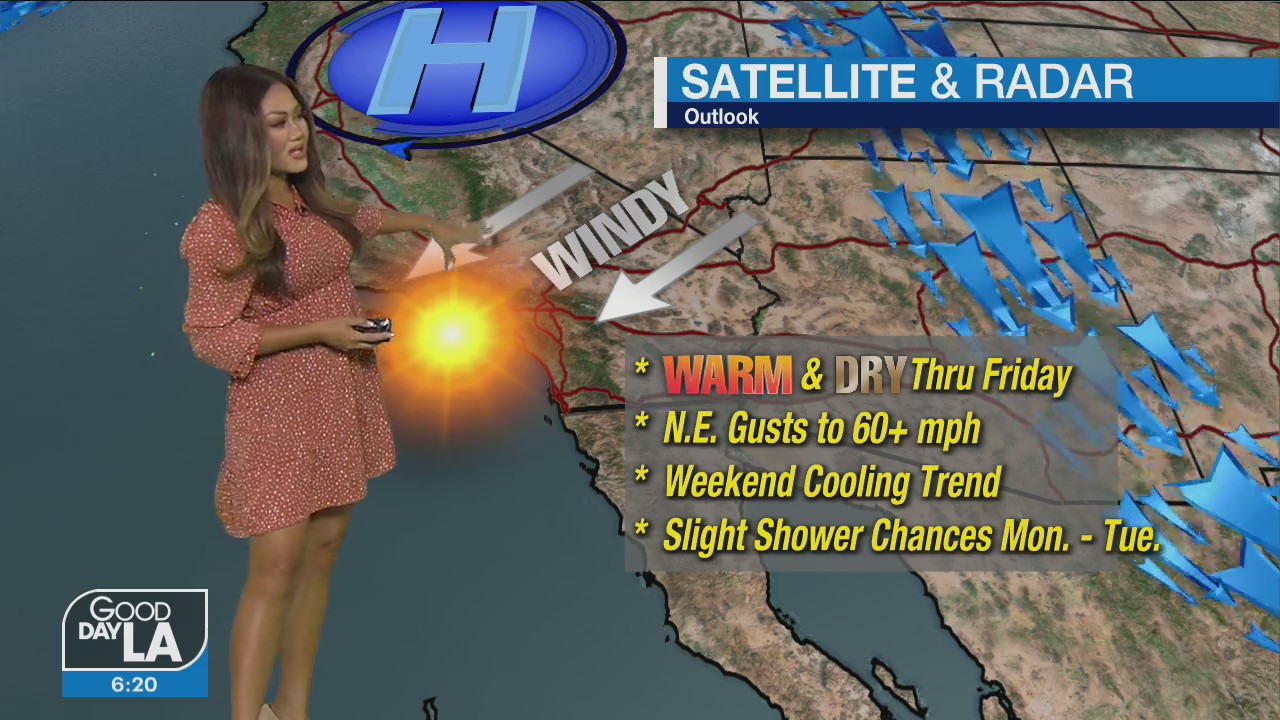 Thanksgiving Weather Forecast