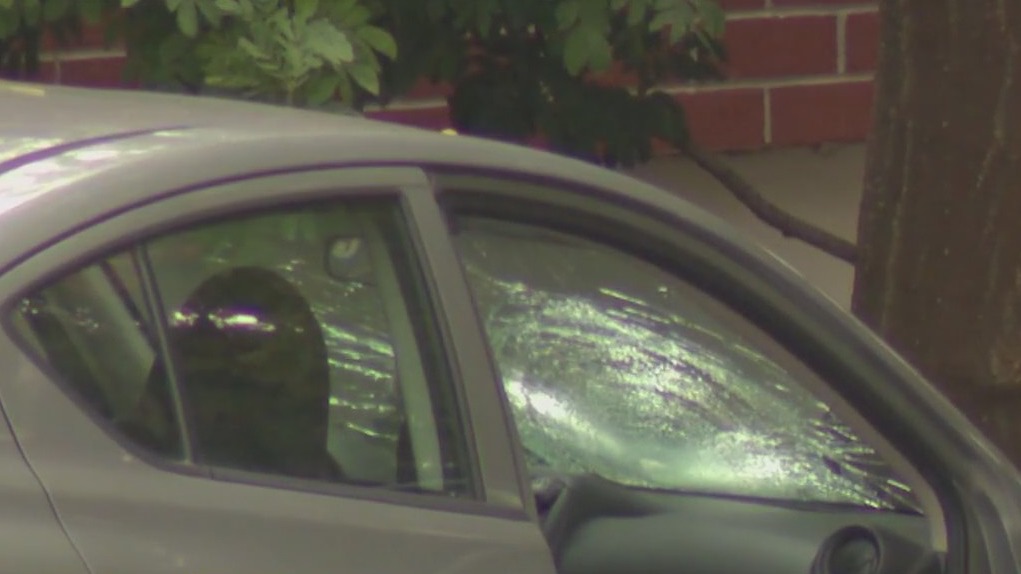 Employee dead after being intentionally run over by vehicle on community college campus: LASD