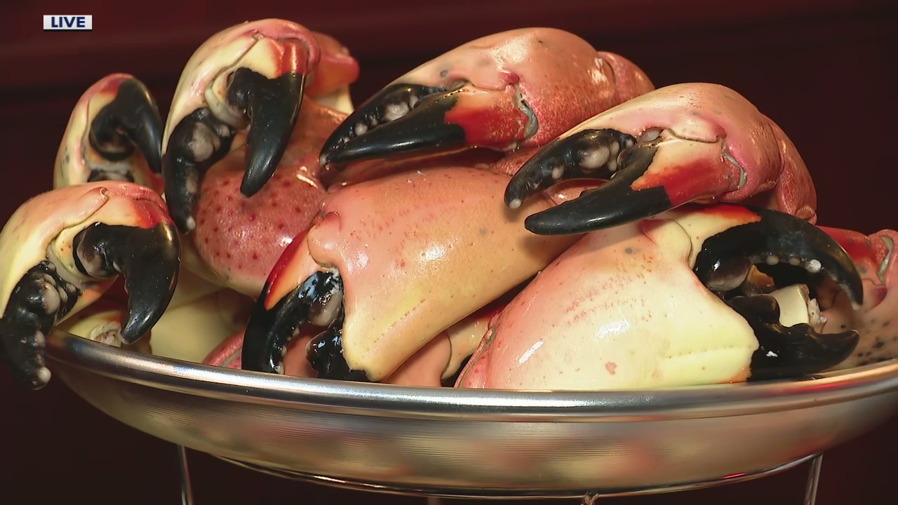 It's Stone Crab Season At O?Brien?s Crab House