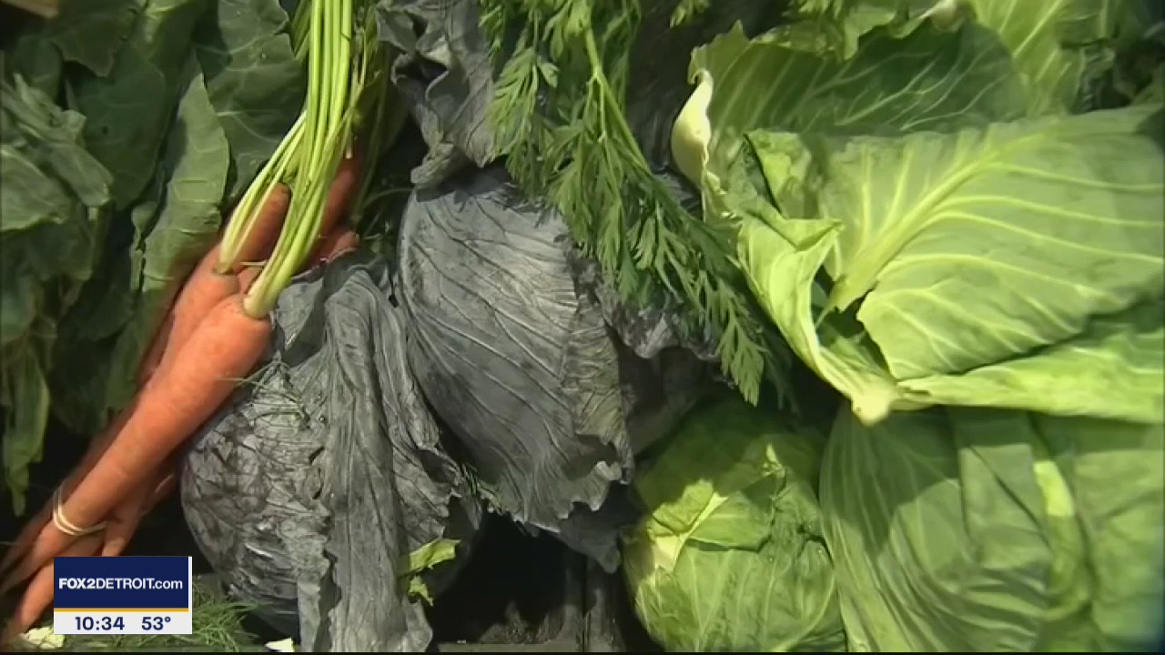 Tips on eating a more plant based diet