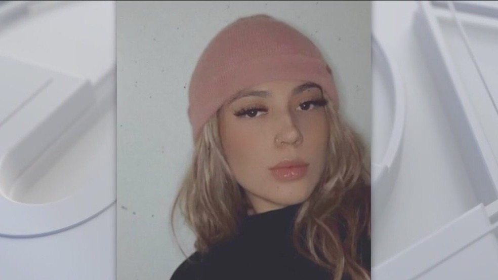 Search continues for Hyde Park hit-and-run driver