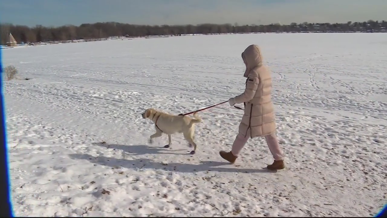 Tips for keeping pets safe in the cold weather