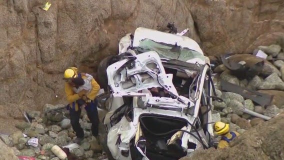 Investigators say Tesla driver intentionally drove over cliff with family in car