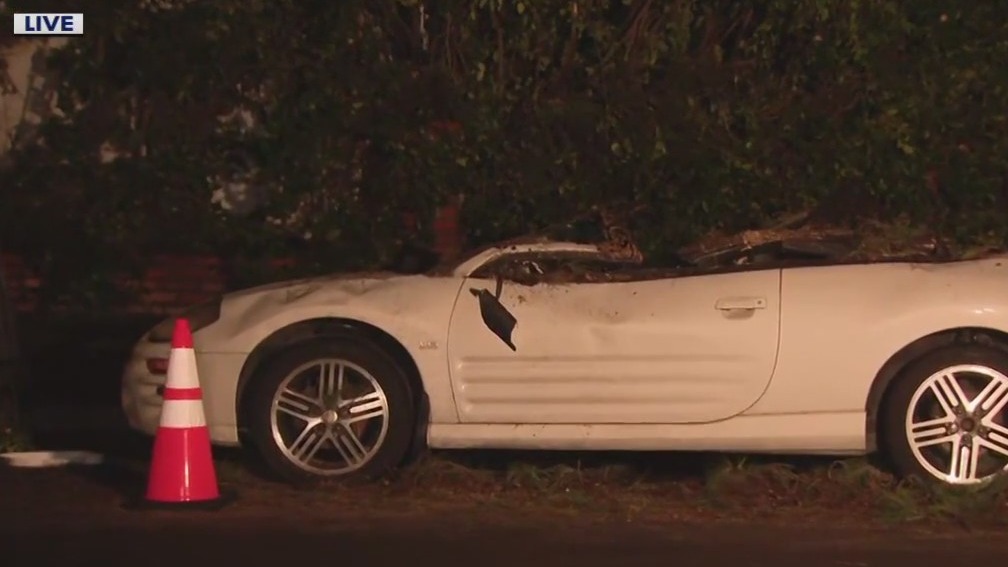 SoCal storms: Cars totaled after downed trees, flooded roads