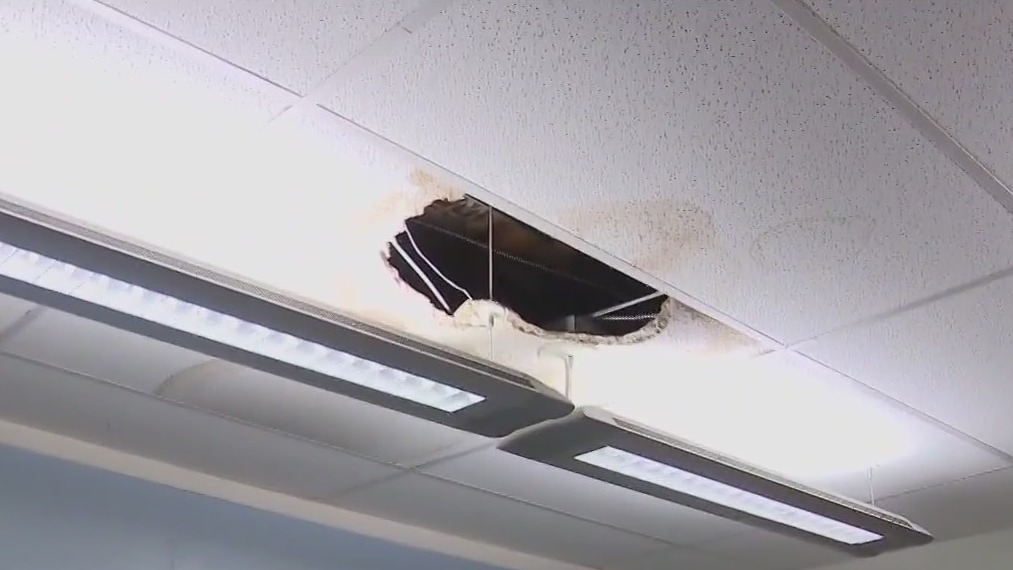 Orange County wetlands and wildlife care's roof collapses during SoCal storms