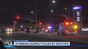 Stabbing suspect killed by deputies