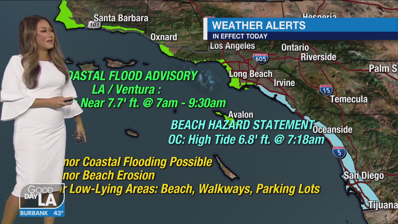 Weather forecast for Friday, Jan. 20