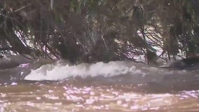 President Biden visits storm-ravaged California