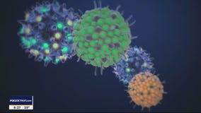 The Doctor Is In: Covid-19 & Pregnancy