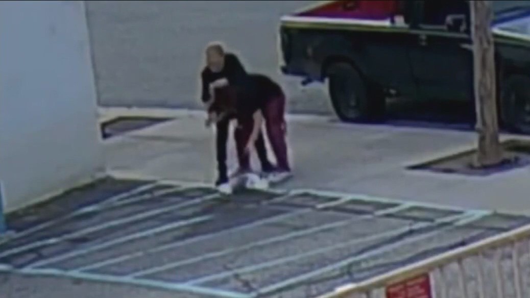 1-month-old maltipoo puppy stolen in Bell Gardens attack