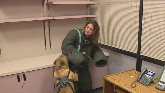 Meet Rico: The fentanyl-fighting K9 with El Monte PD