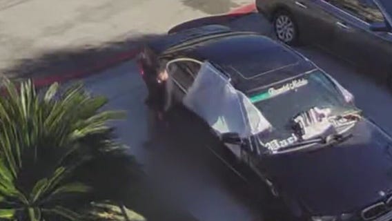 Woman brutally yanks, drags puppy in LA's South Gate neighborhood