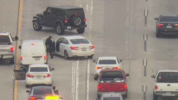 Dog saved on 5 Freeway in dramatic fashion in Sun Valley