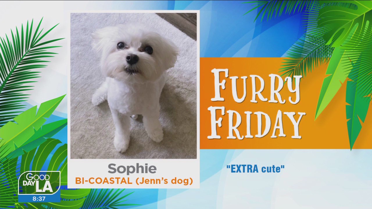 Furry Friday: Feb. 24, 2023