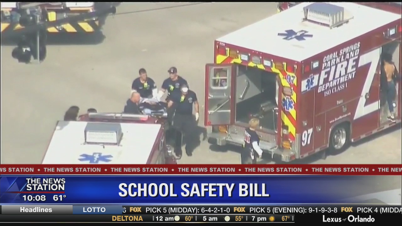 Florida Senate passes restrictions on gun sales