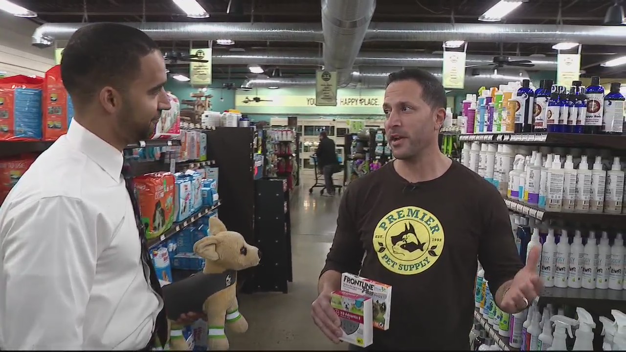 Getting ahead of the pest season with flea and tick treatment for pets