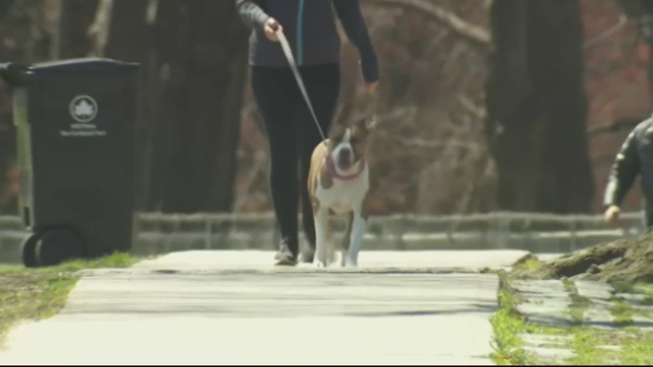 The latest bargaining chip between employers and employees? Pets