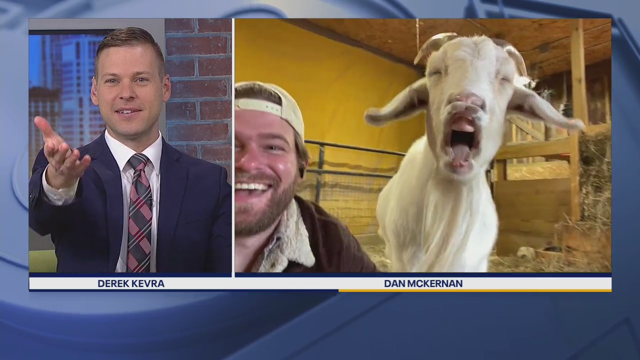 Barn Sanctuary founder Dan McKernan tries to talk new book, but his goat steals the show