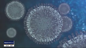 The Doctor Is In: Omicron Variant