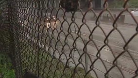 Water main break floods 101 Freeway in Boyle Heights