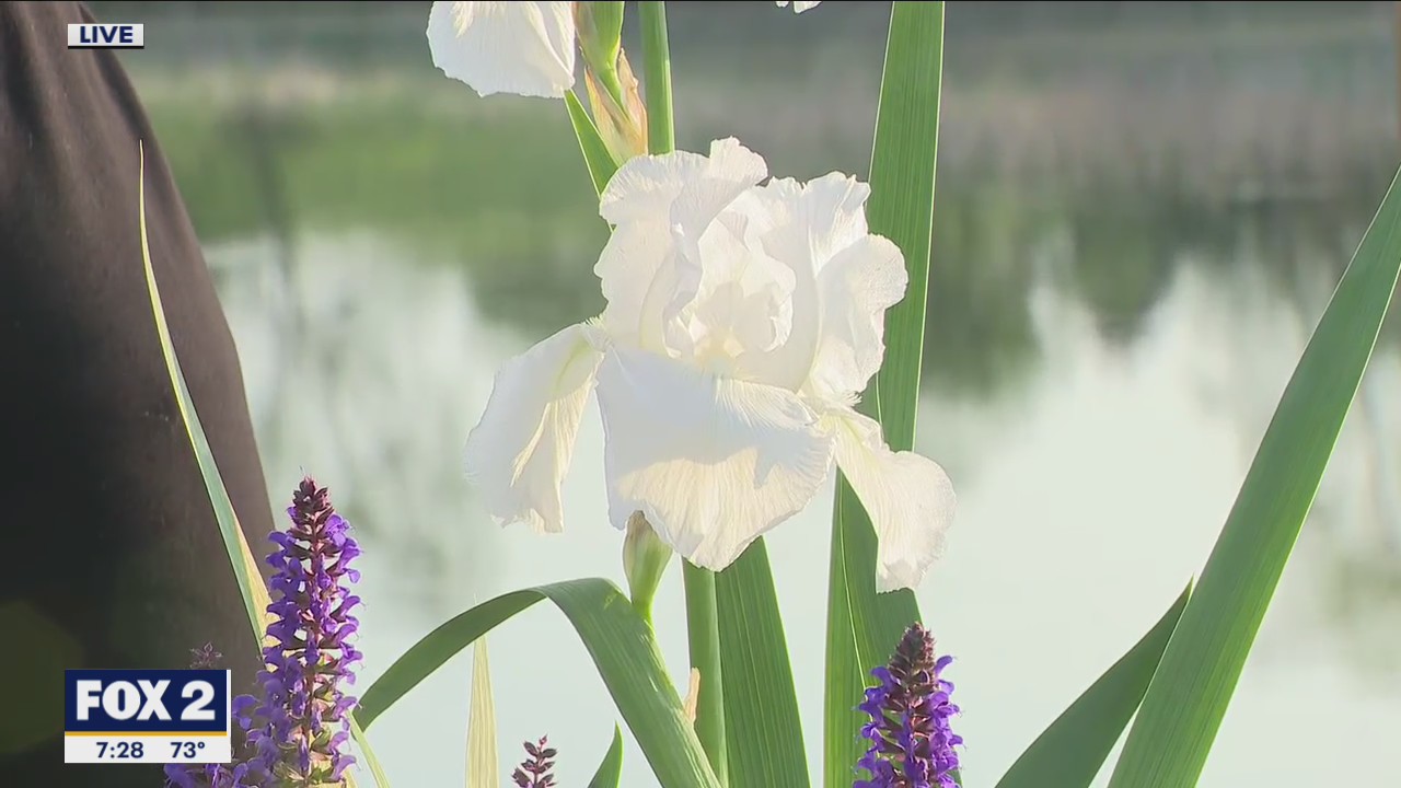 Spring and summer landscaping tips with U-Plant Landscape Designs